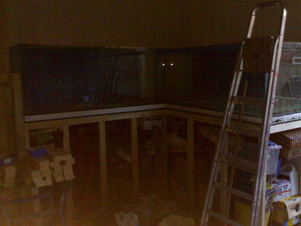 11102007500.jpg