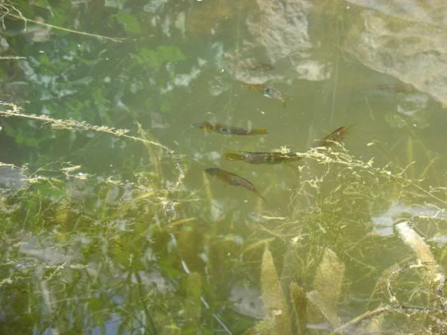 DSC04824.jpg