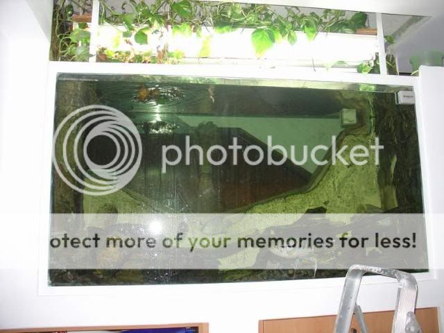 DSC04073.jpg