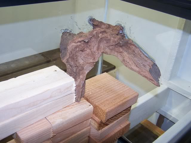fishwall015.jpg