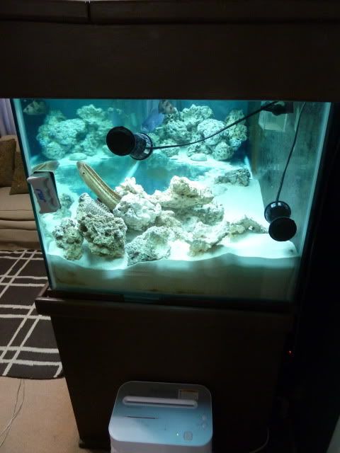 P1010245.jpg