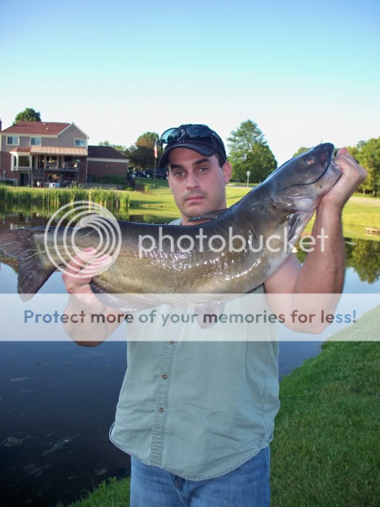 fishn050.jpg