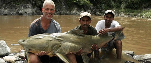 Goonch+Catfish.jpg