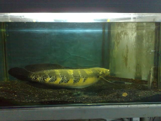 160120122050.jpg