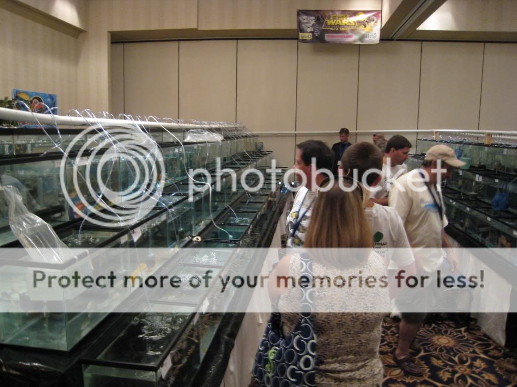 IMG_9271.jpg