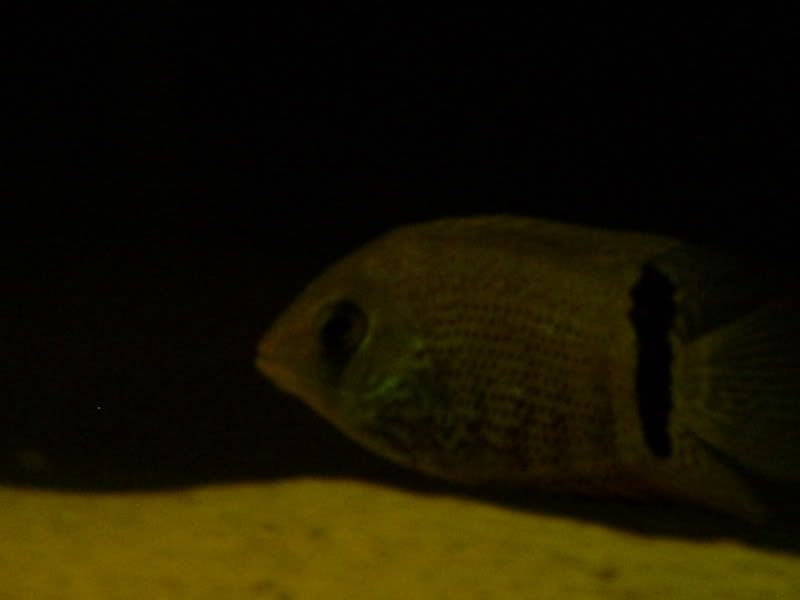 S5030256.jpg