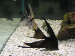 IMG_5854.jpg