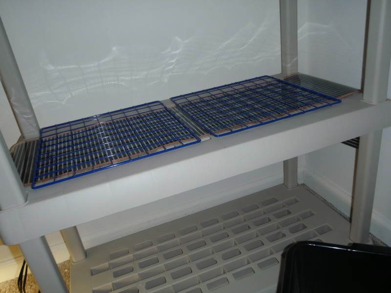 PB276459.jpg