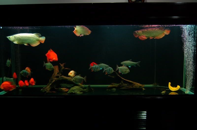 DSC_7170_resize.jpg