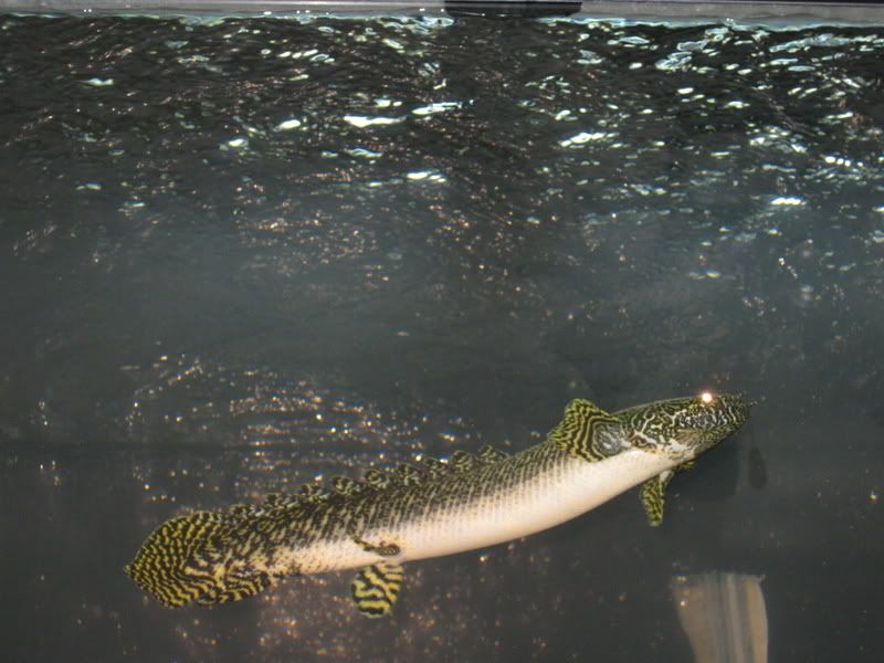 12-23-08092.jpg