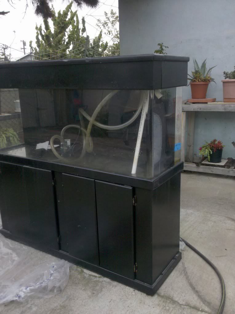 2010-01-25142411.jpg