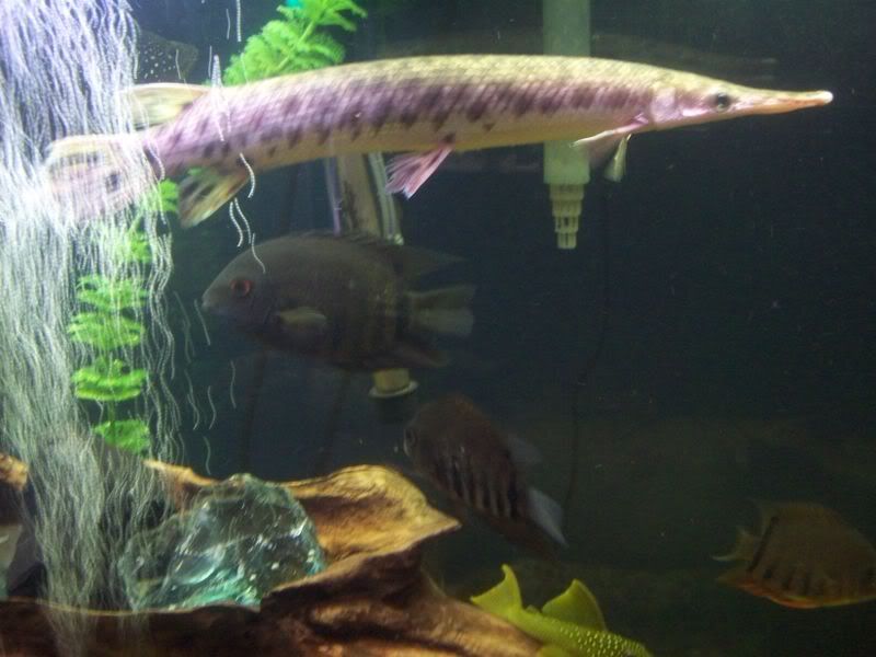 100_2966.jpg