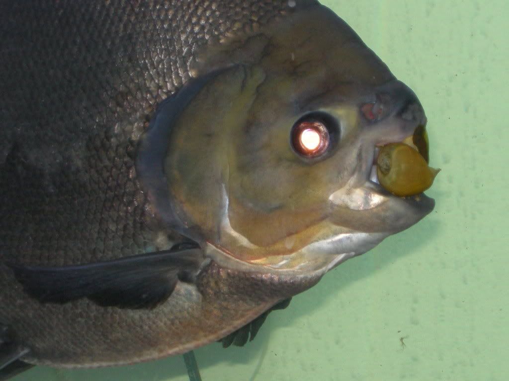 DSCN5118.jpg