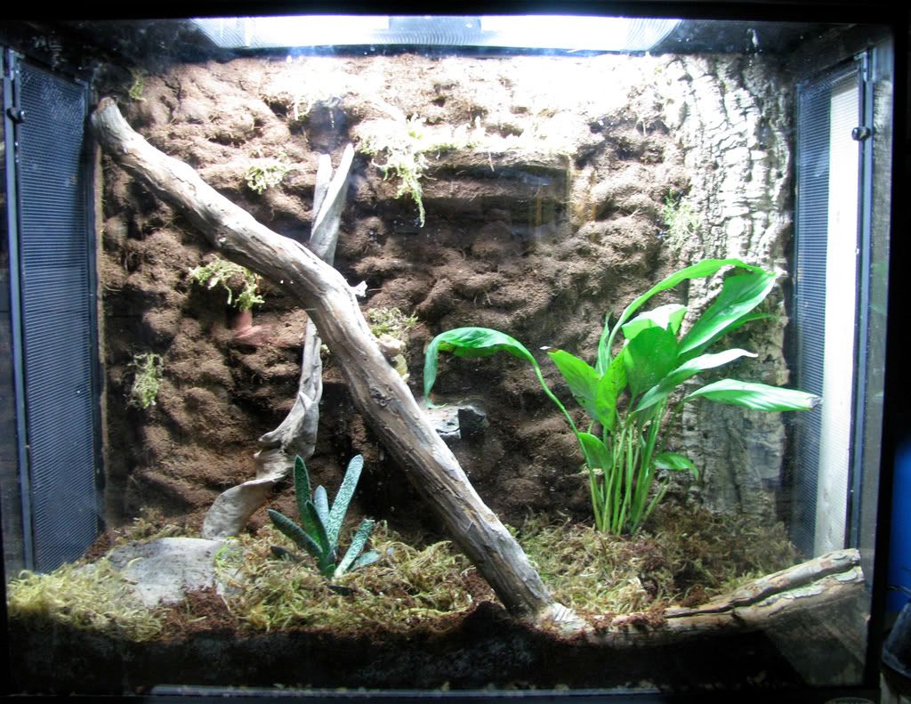 FinishedTank.jpg