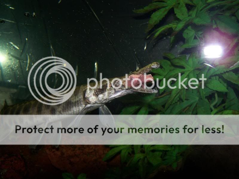 100_9039Medium.jpg