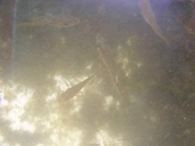DSC06559.jpg