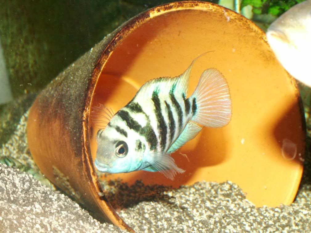 DSCF7061.jpg