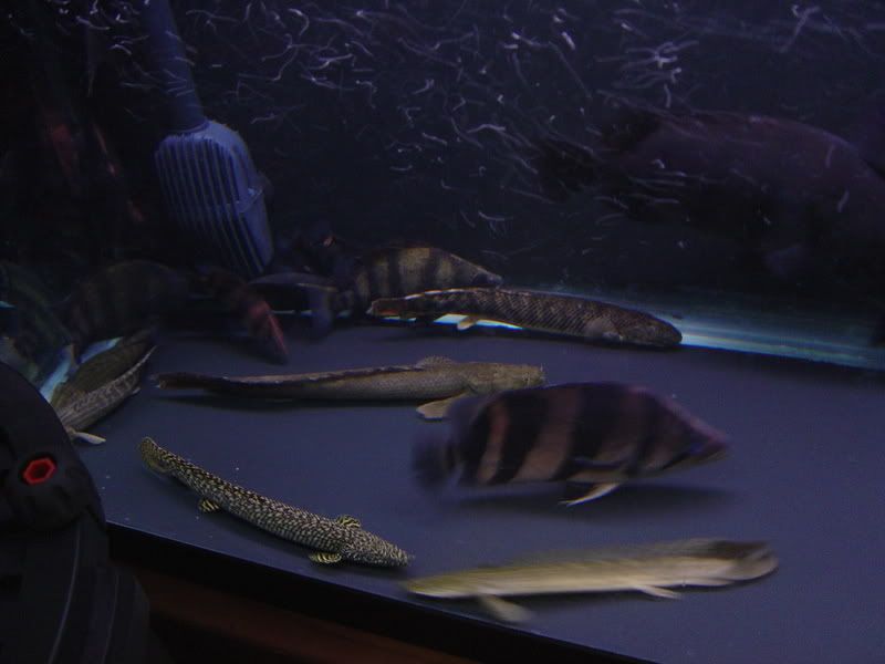 11-19-07042.jpg