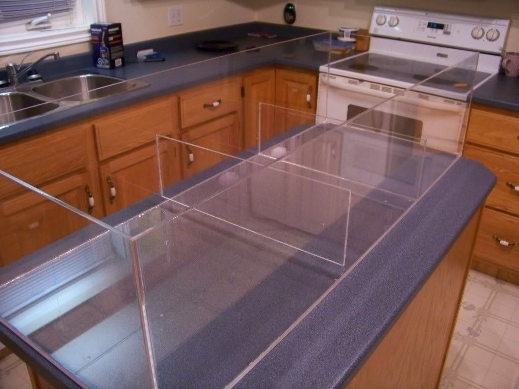100_6816.jpg