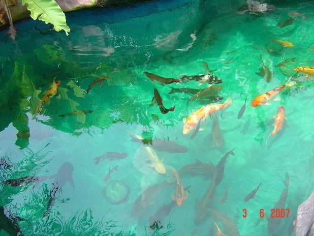 image06-1.jpg