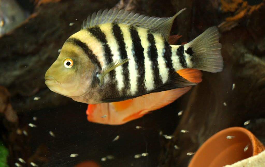 aIMG_1167.jpg