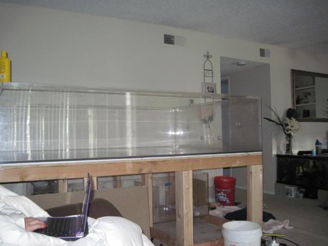 IMG_1306.jpg