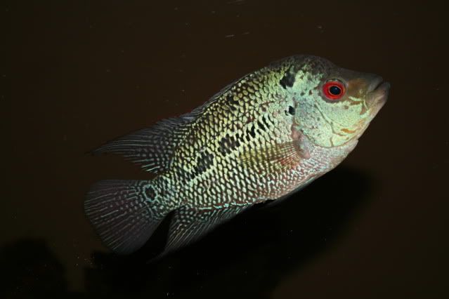 IMG_3548.jpg