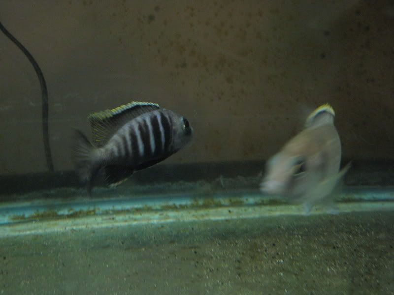 IMG_4474.jpg