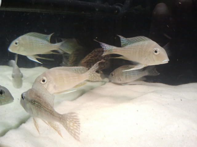 2012-04-11222416.jpg