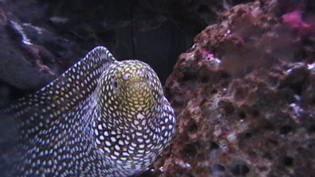 IMGA0513.jpg