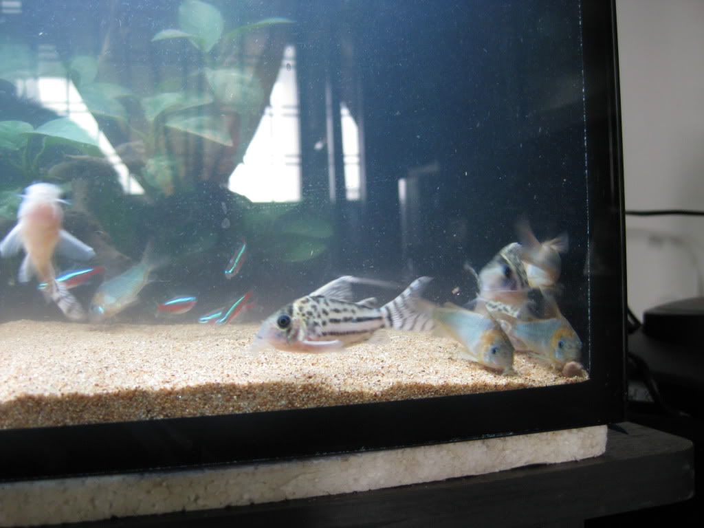 IMG_5200.jpg