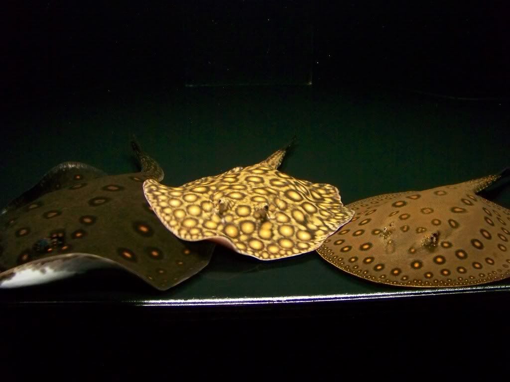 100_6949.jpg