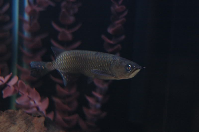 DSC_0761.jpg
