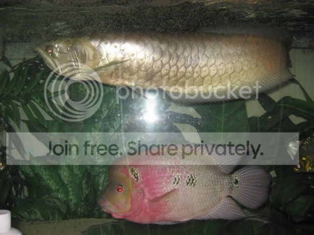 Picture630.jpg