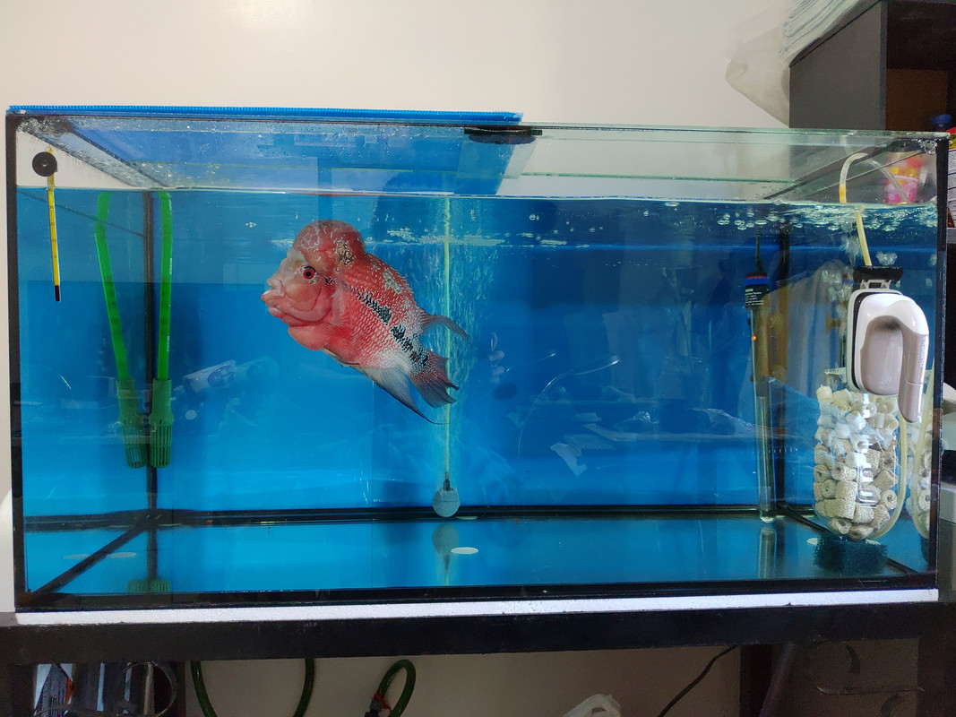 P-20191220-124826.jpg