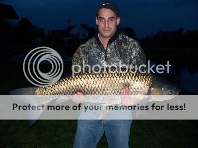 43LBGrassCarp.jpg