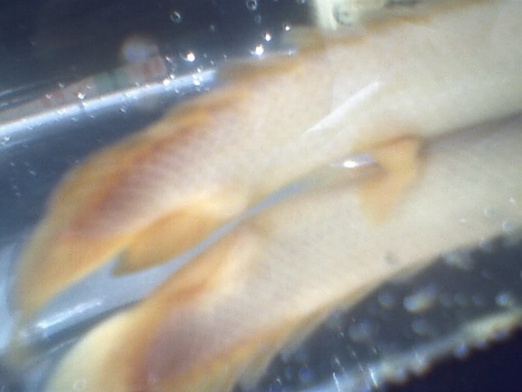 092312.jpg