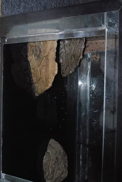 20100310_357.jpg