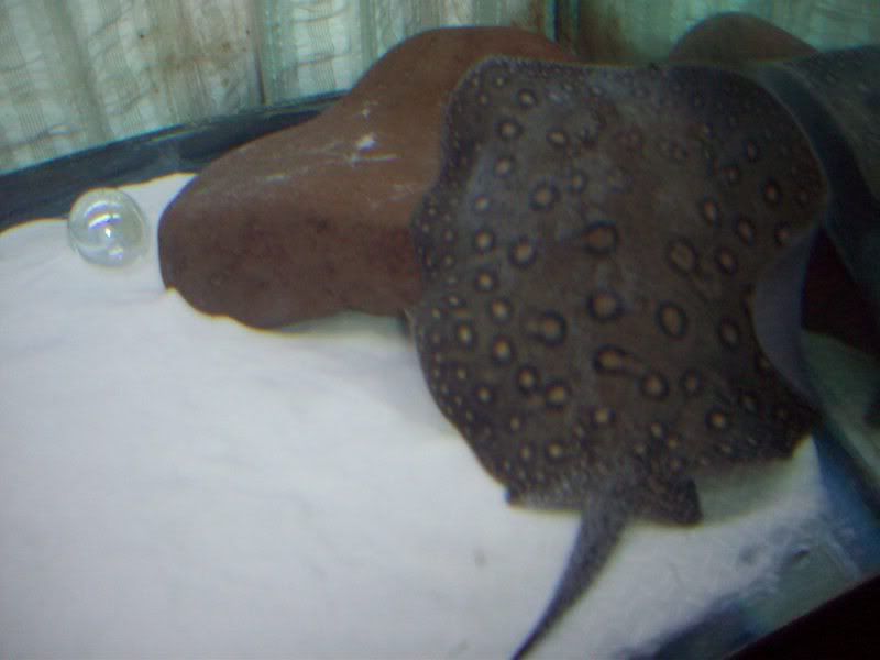 100_2544.jpg