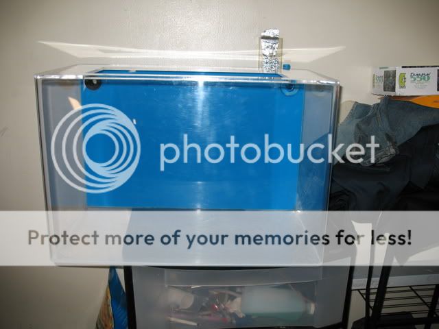fishtank3.jpg