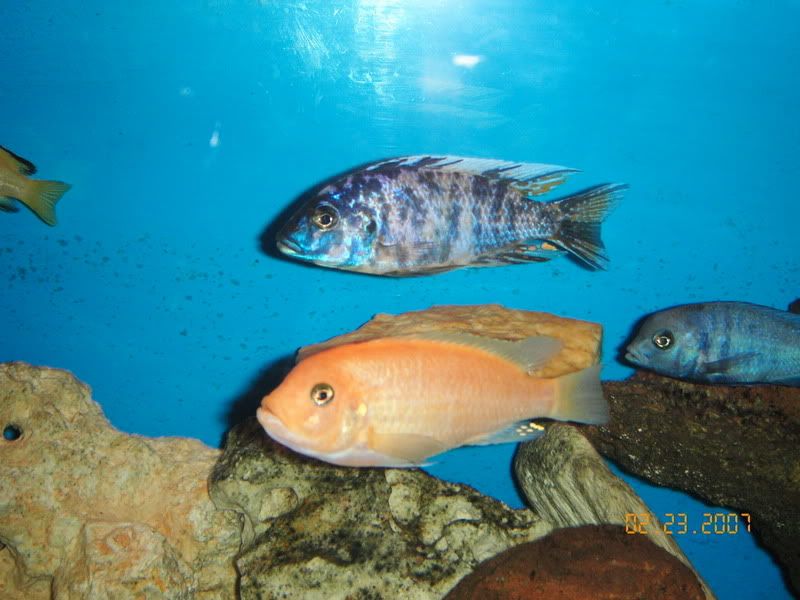 KIF_1089.jpg
