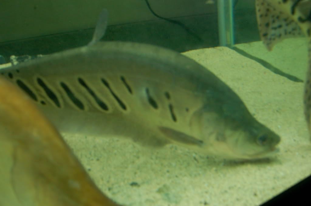 DSC_5360.jpg