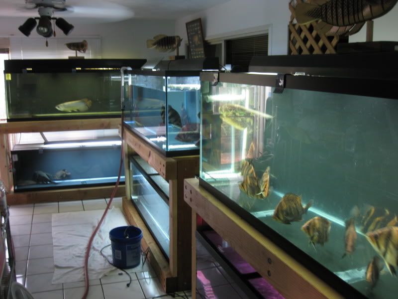 11-7-09008.jpg
