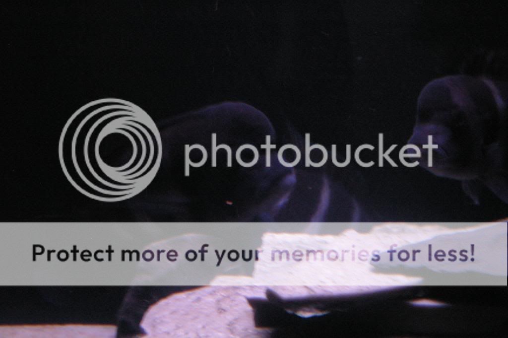 IMGP6471.jpg