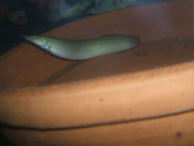 DSCF2410.jpg