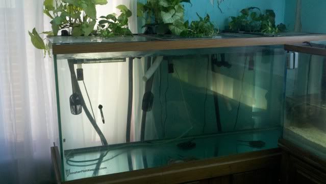 2011-10-15_13-19-52_326.jpg