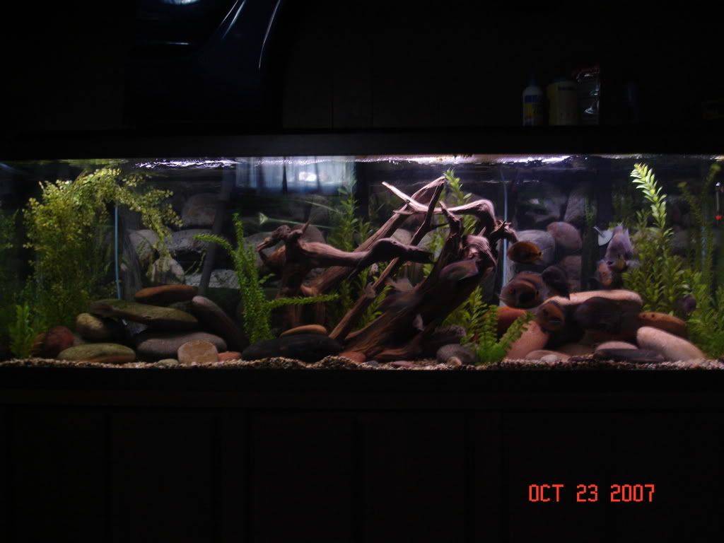 DSC01090.jpg