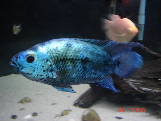 DSC06014.jpg