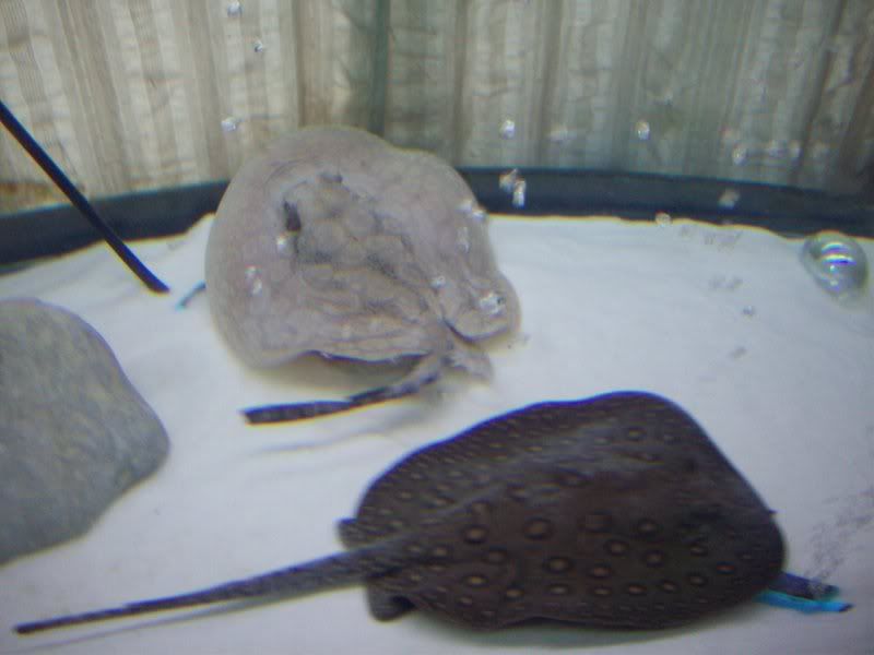 100_2540.jpg