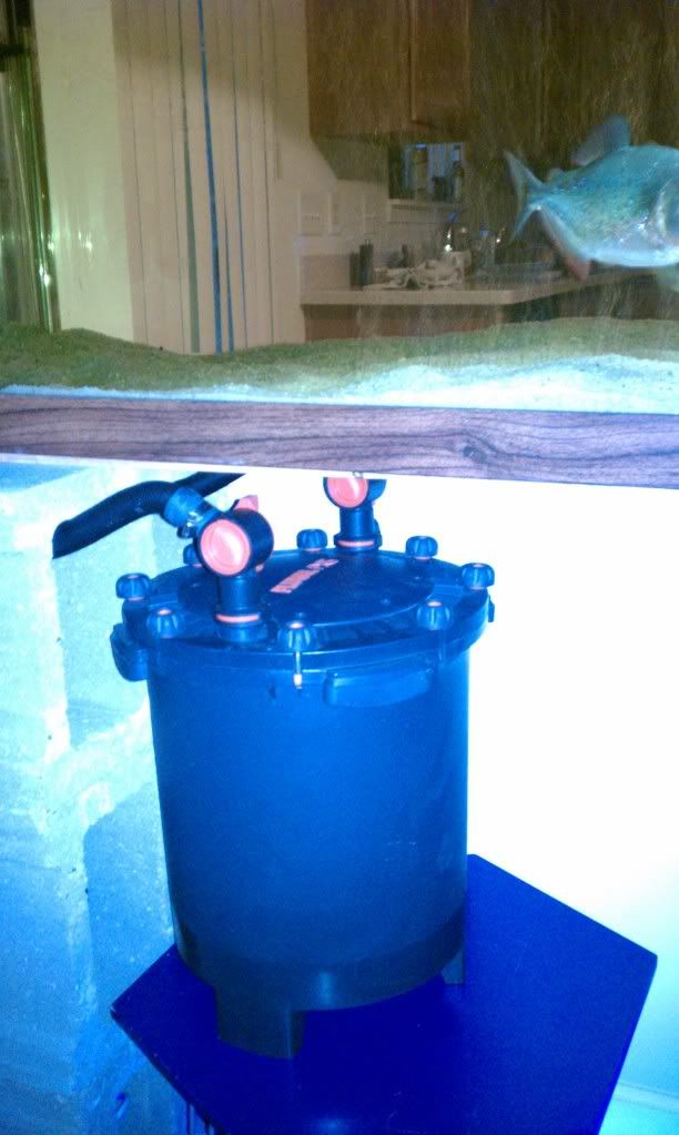 IMAG0538_zps357b9a8c.jpg